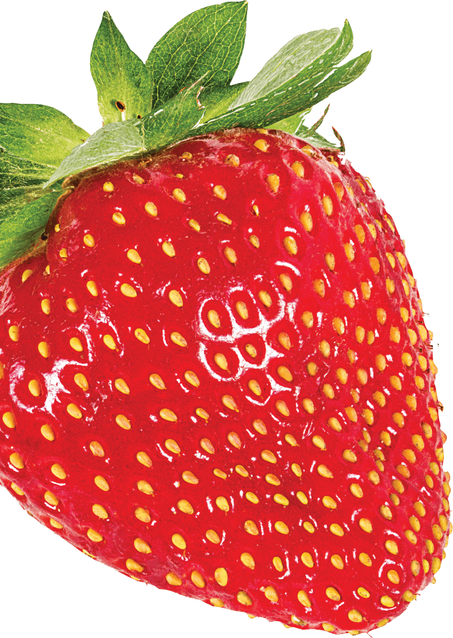 strawbery-image2